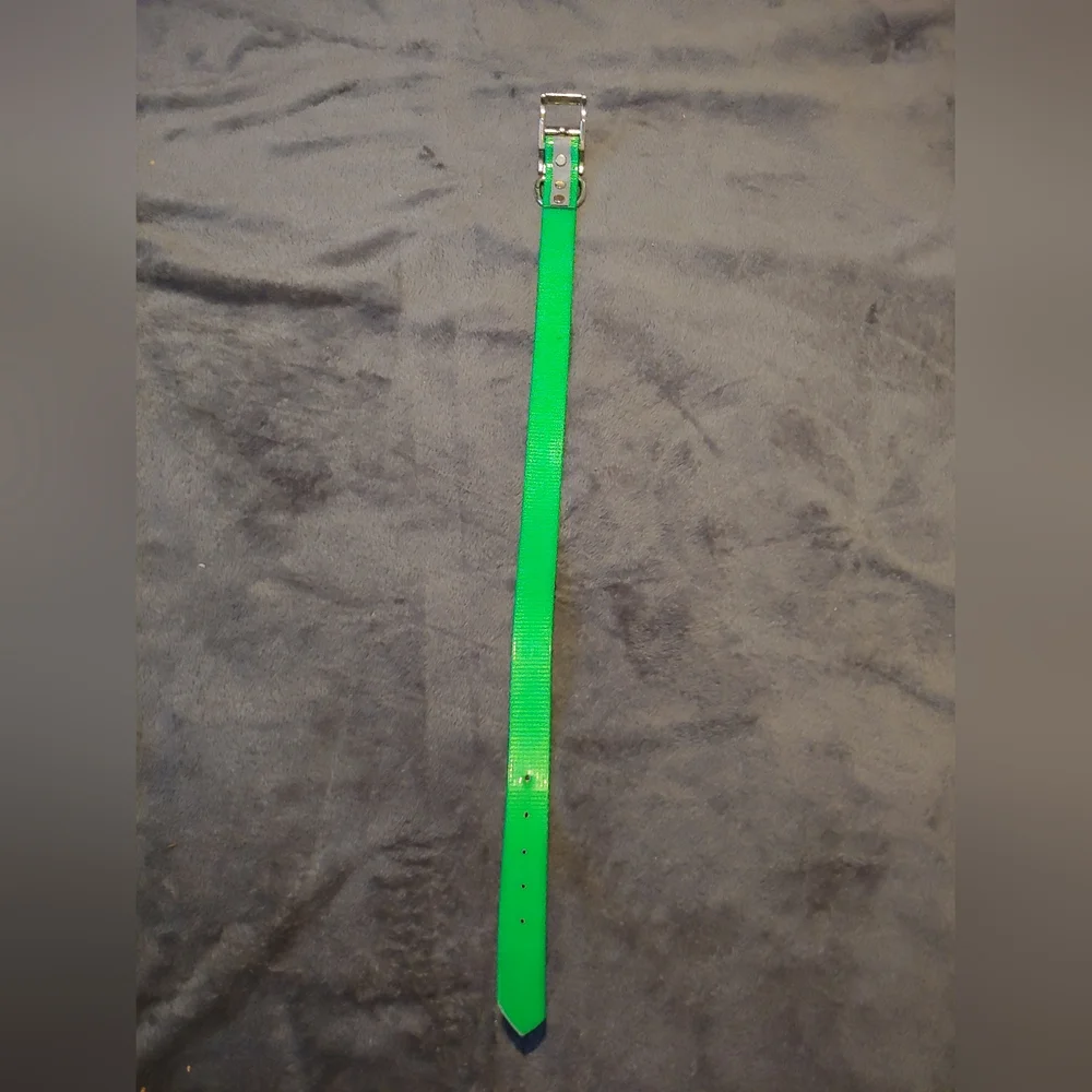 Amazon reflective collar